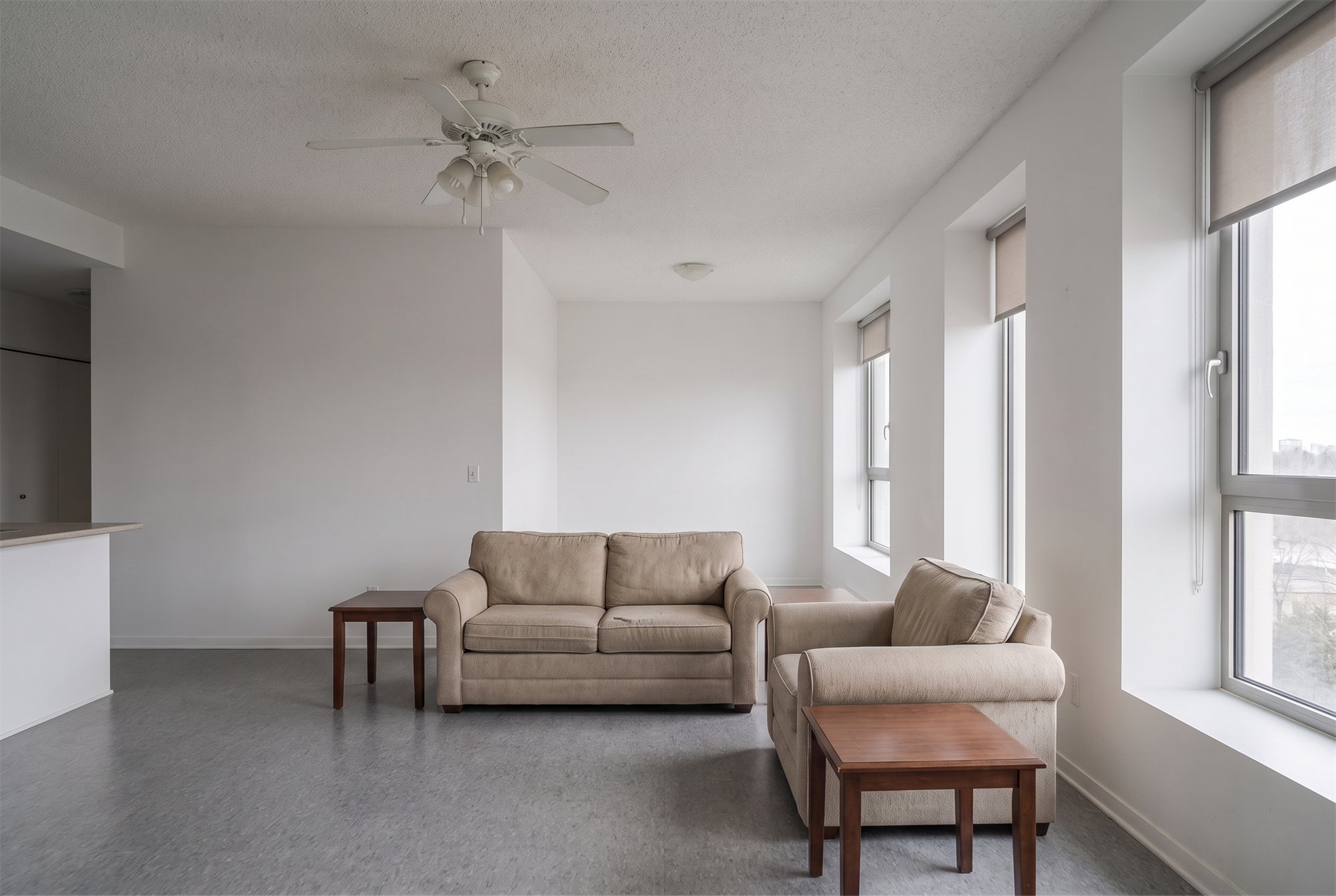 VEILED LIGHT — before renovation
